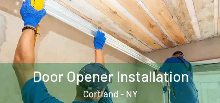  Door Opener Installation Cortland - NY