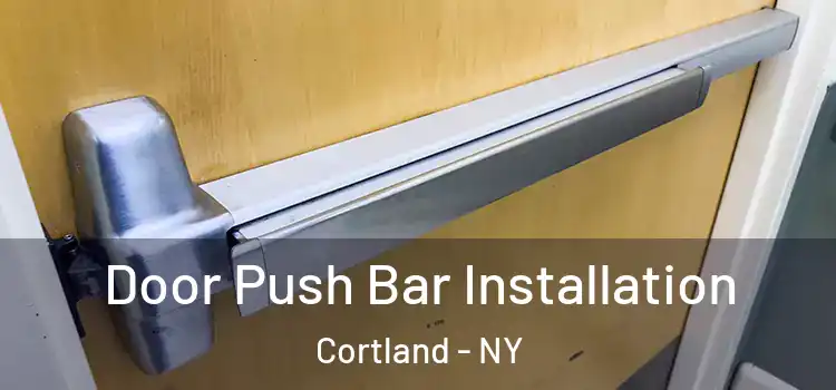  Door Push Bar Installation Cortland - NY