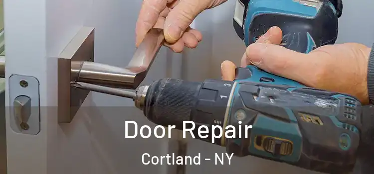  Door Repair Cortland - NY