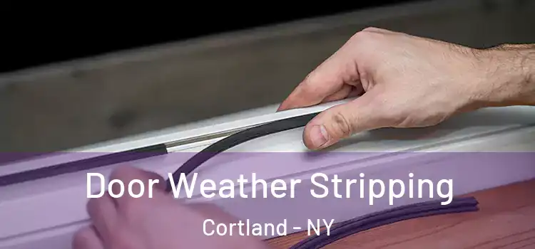  Door Weather Stripping Cortland - NY