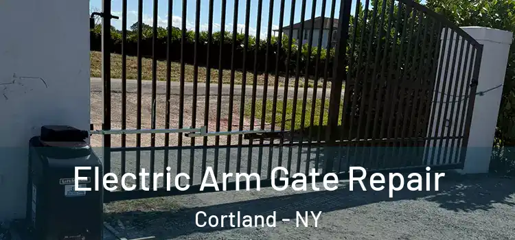 Electric Arm Gate Repair Cortland - NY
