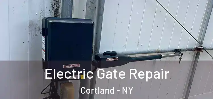  Electric Gate Repair Cortland - NY