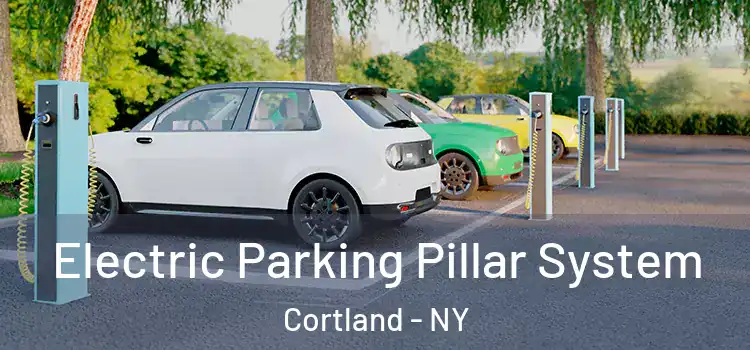  Electric Parking Pillar System Cortland - NY