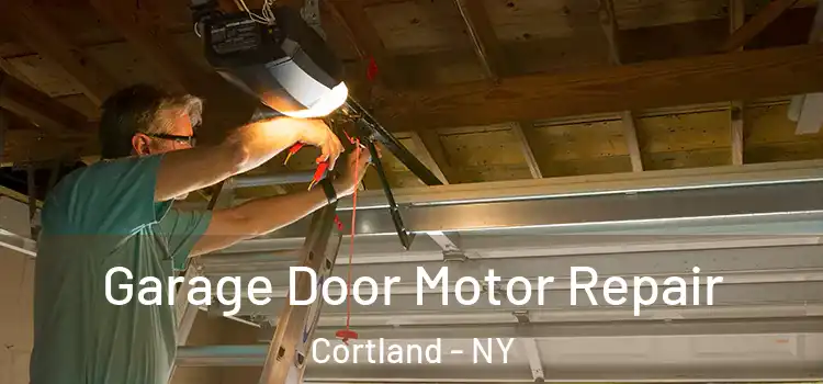  Garage Door Motor Repair Cortland - NY