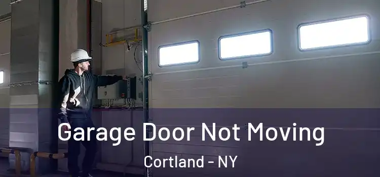  Garage Door Not Moving Cortland - NY