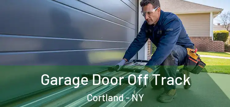  Garage Door Off Track Cortland - NY