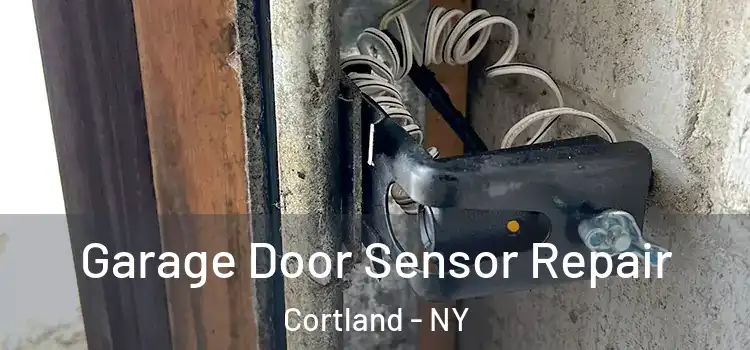  Garage Door Sensor Repair Cortland - NY