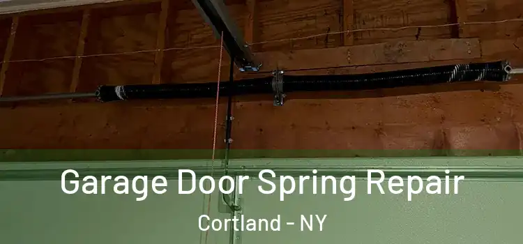  Garage Door Spring Repair Cortland - NY