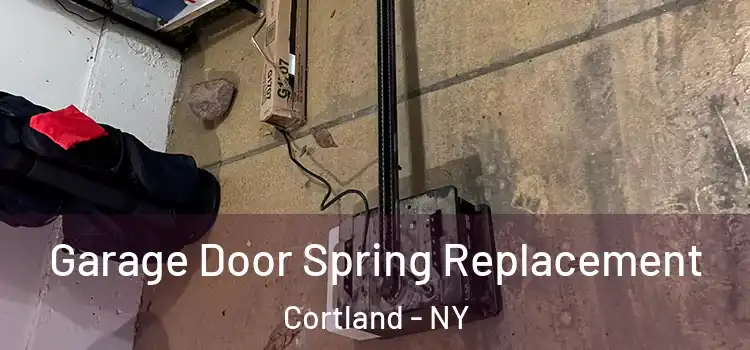  Garage Door Spring Replacement Cortland - NY