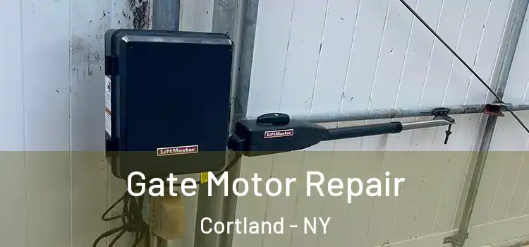  Gate Motor Repair Cortland - NY