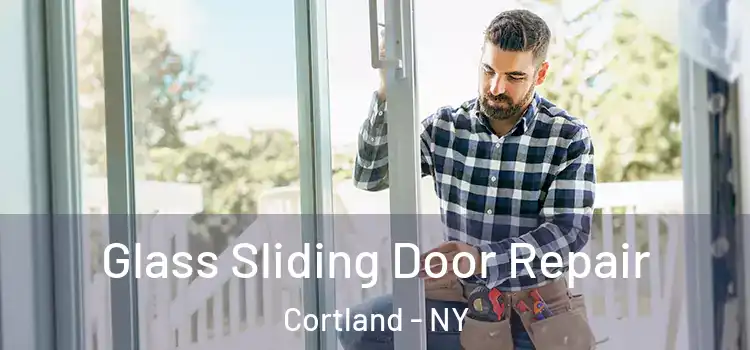 Glass Sliding Door Repair Cortland - NY