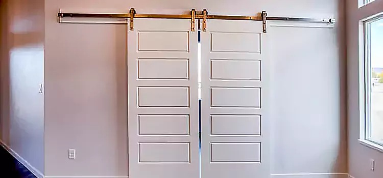 Glass Barn Door with Installation Hardware Kit Cortland