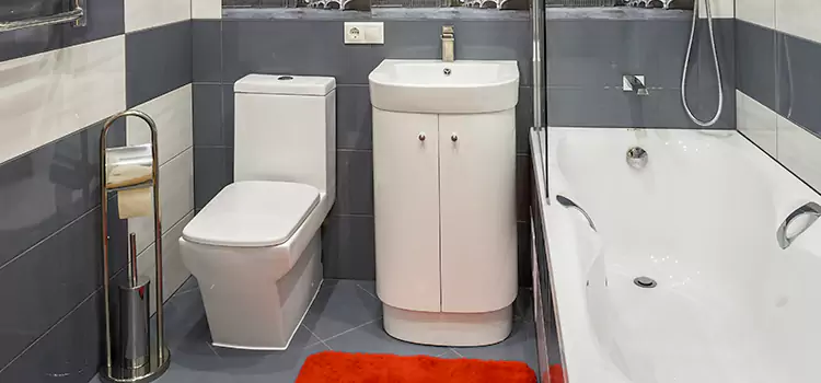 Hansgrohe Shaving Mirror Cortland
