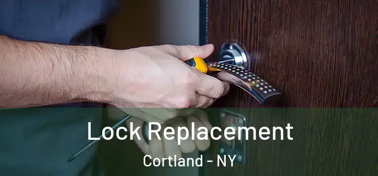  Lock Replacement Cortland - NY