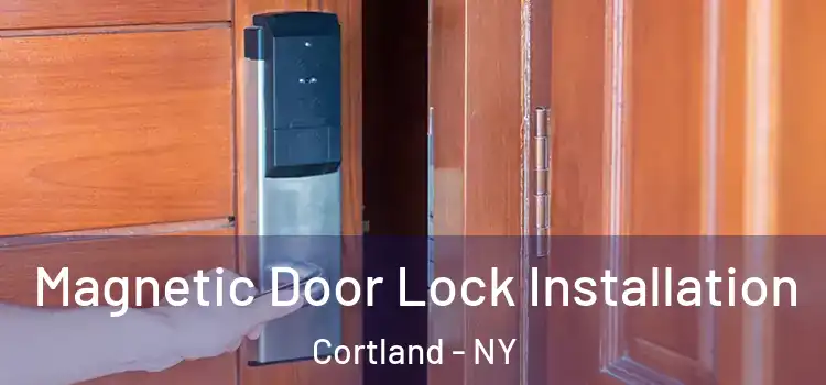  Magnetic Door Lock Installation Cortland - NY