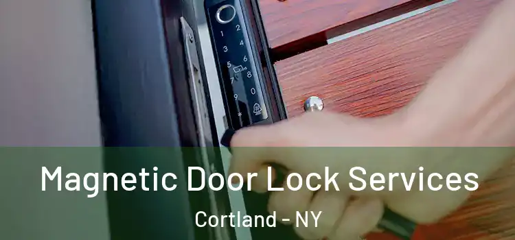 Magnetic Door Lock Services Cortland - NY