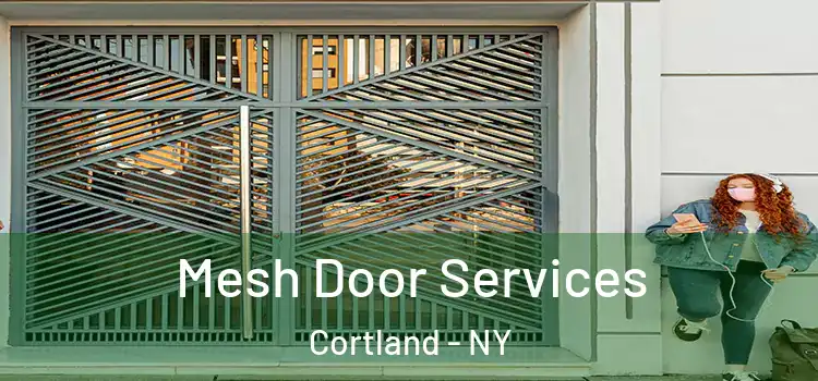  Mesh Door Services Cortland - NY
