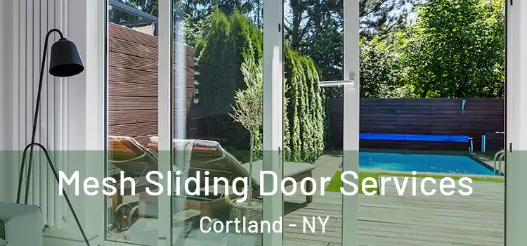  Mesh Sliding Door Services Cortland - NY