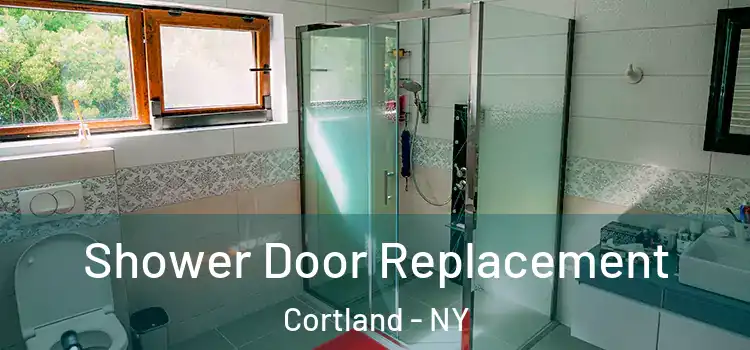  Shower Door Replacement Cortland - NY