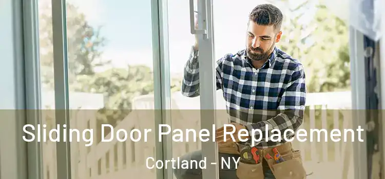  Sliding Door Panel Replacement Cortland - NY