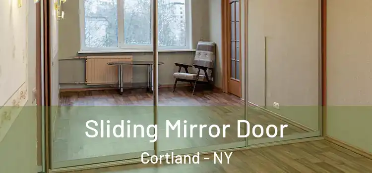  Sliding Mirror Door Cortland - NY