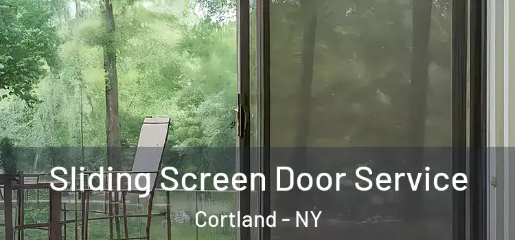  Sliding Screen Door Service Cortland - NY
