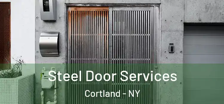  Steel Door Services Cortland - NY